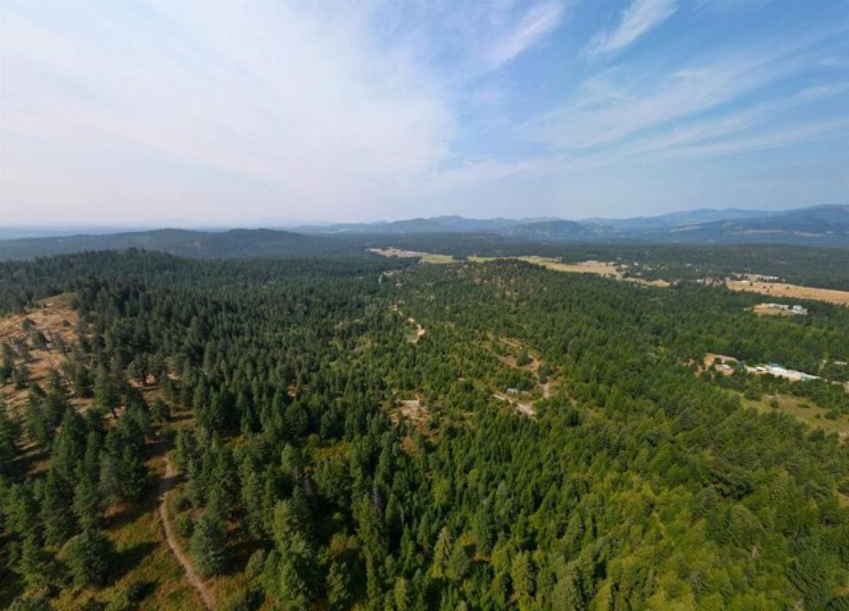 Picture of Residential Land For Sale in Newport, Washington, United States