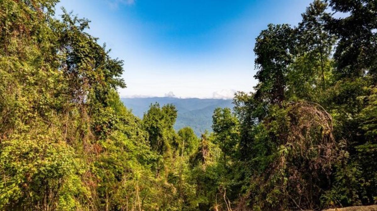 Picture of Residential Land For Sale in Bryson City, North Carolina, United States