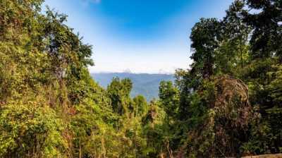 Residential Land For Sale in Bryson City, North Carolina