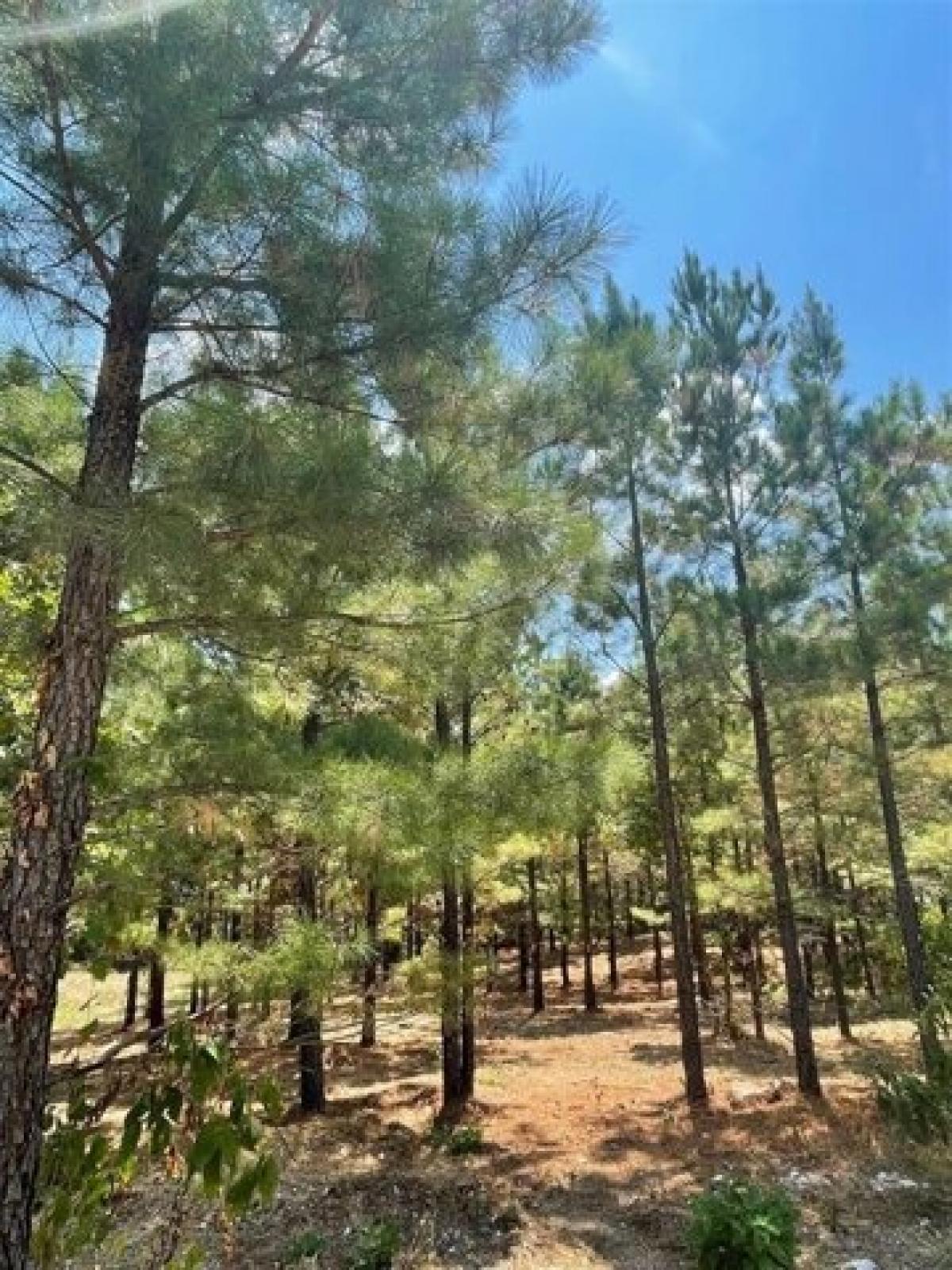 Picture of Residential Land For Sale in Broken Bow, Oklahoma, United States