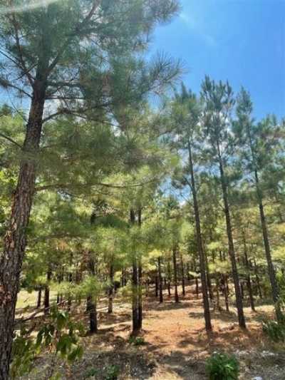 Residential Land For Sale in Broken Bow, Oklahoma