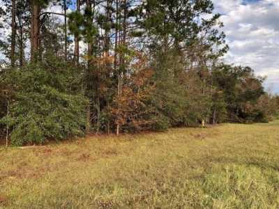 Residential Land For Sale in Leesburg, Georgia