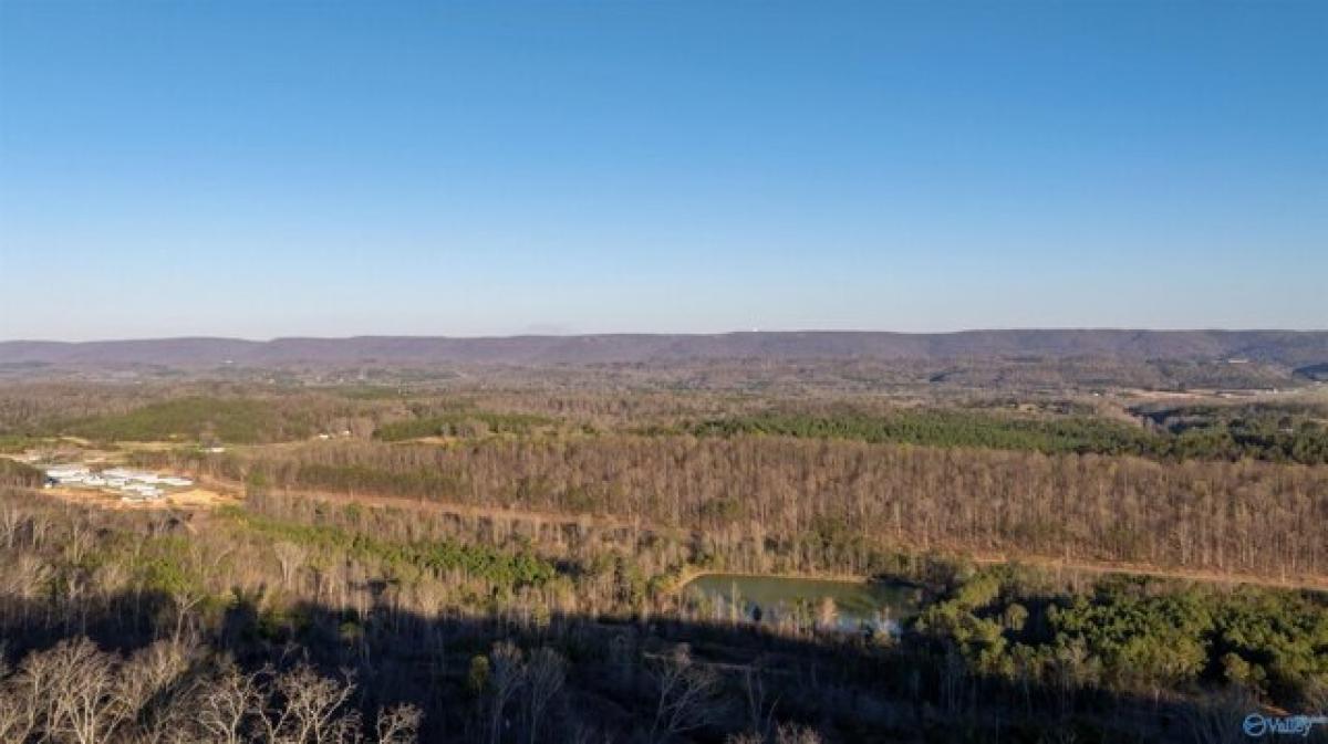 Picture of Residential Land For Sale in Fort Payne, Alabama, United States