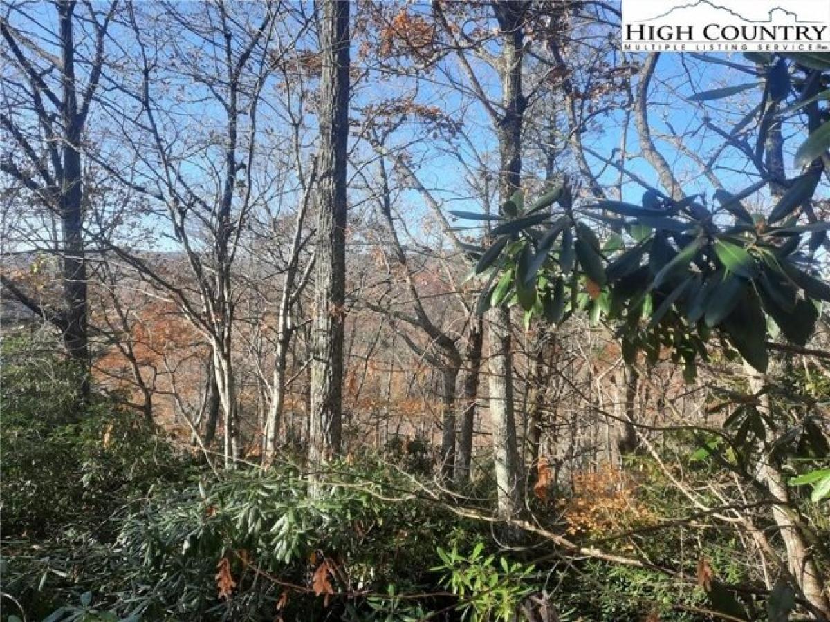 Picture of Residential Land For Sale in Blowing Rock, North Carolina, United States