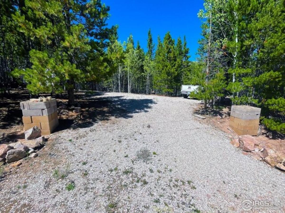 Picture of Residential Land For Sale in Red Feather Lakes, Colorado, United States