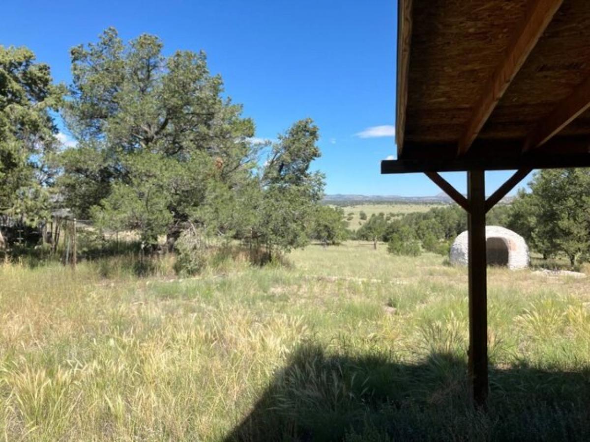 Picture of Home For Sale in Datil, New Mexico, United States