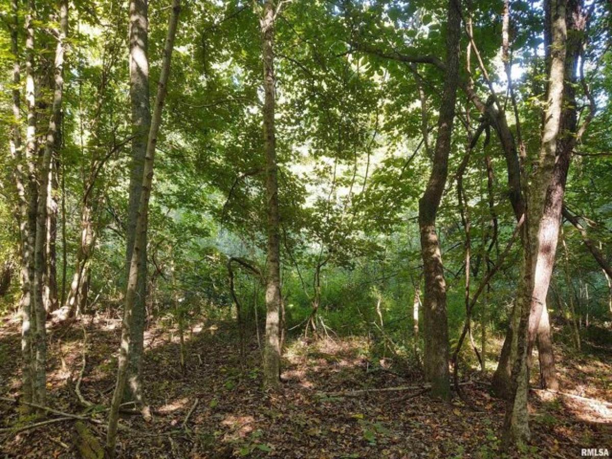 Picture of Residential Land For Sale in Ozark, Illinois, United States