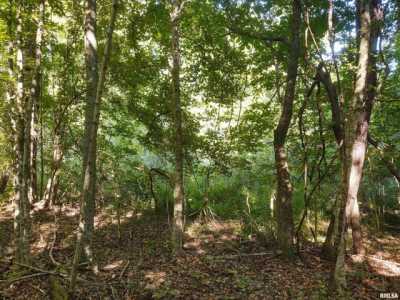 Residential Land For Sale in Ozark, Illinois