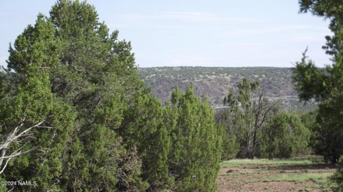 Picture of Residential Land For Sale in Williams, Arizona, United States