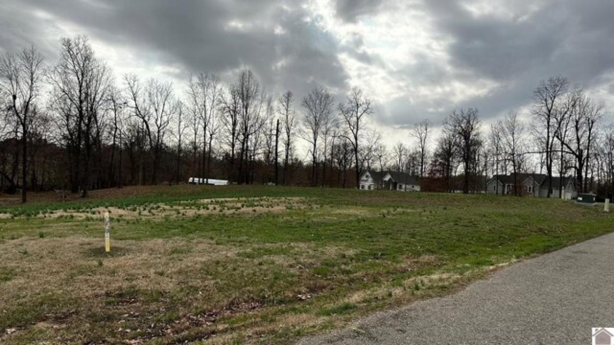 Picture of Residential Land For Sale in Mayfield, Kentucky, United States