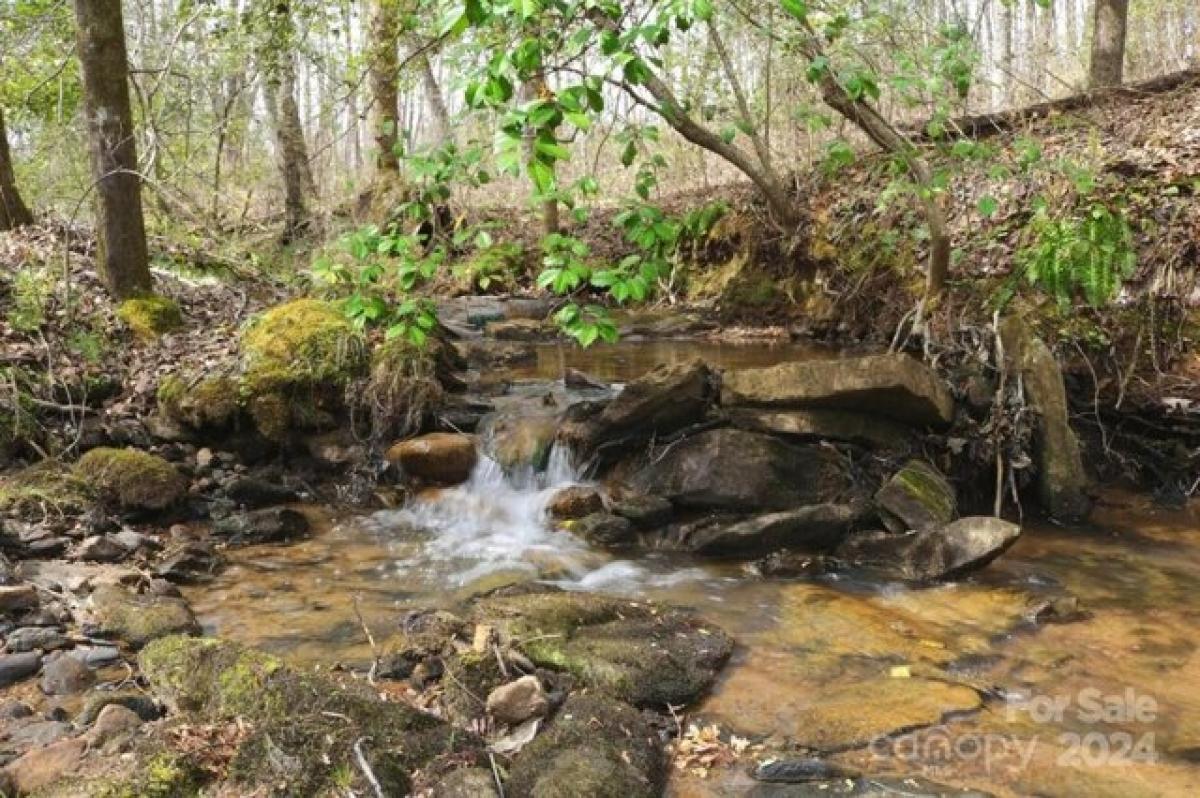 Picture of Residential Land For Sale in Lake Lure, North Carolina, United States