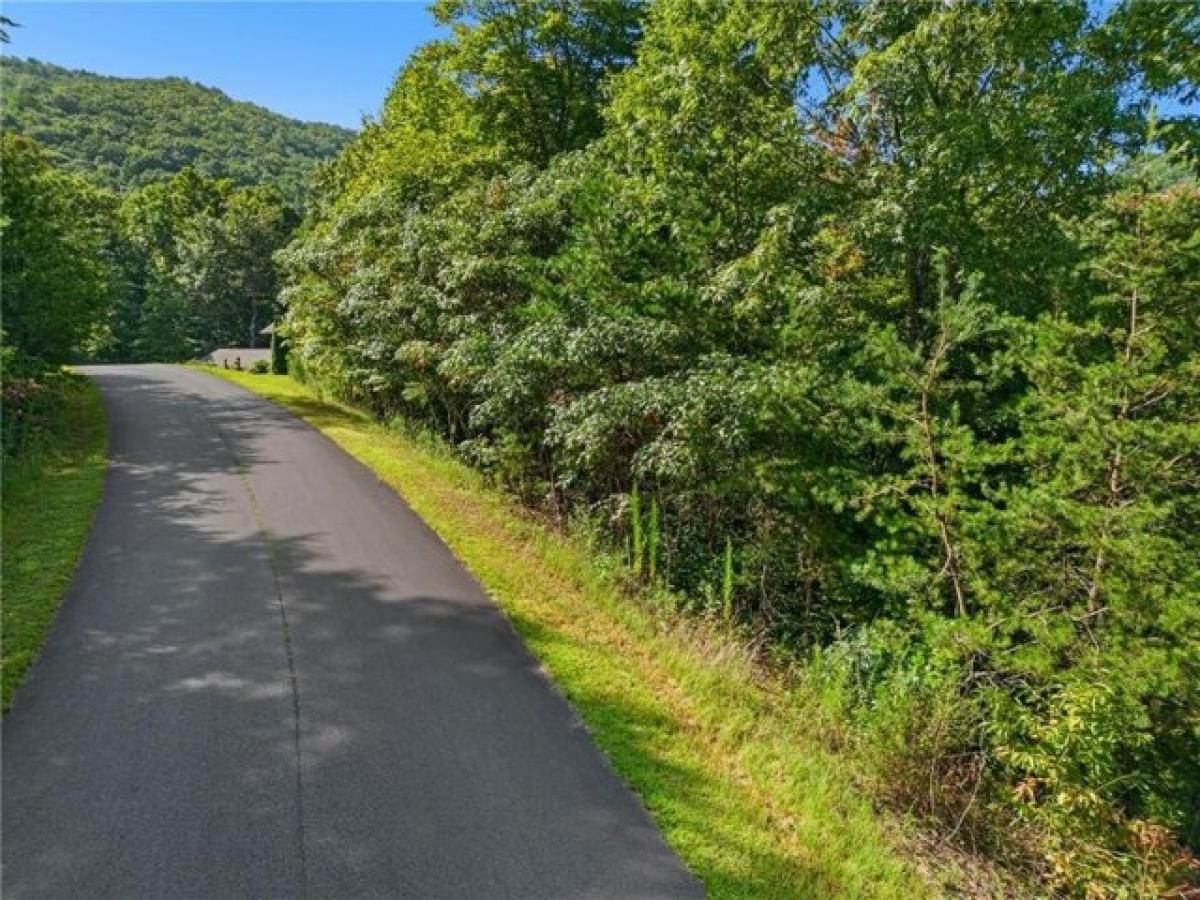 Picture of Residential Land For Sale in Hiawassee, Georgia, United States