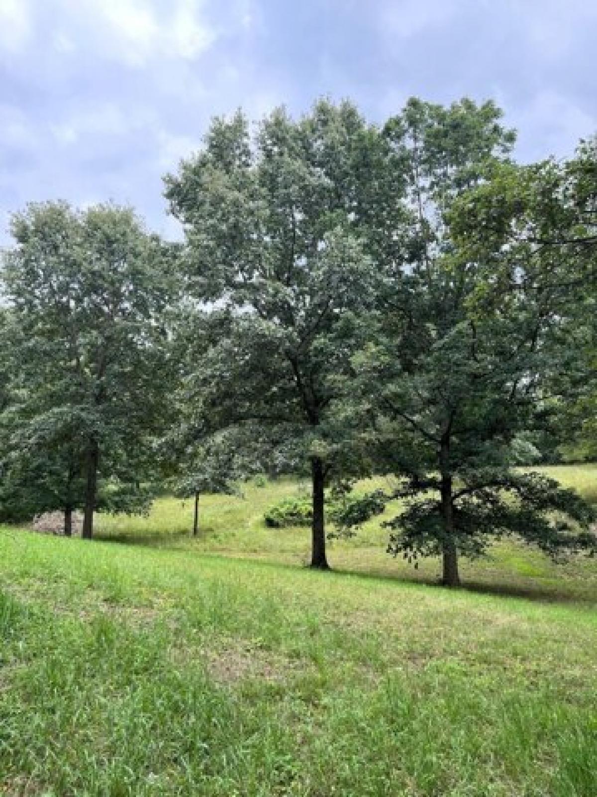 Picture of Residential Land For Sale in Manchester, Michigan, United States