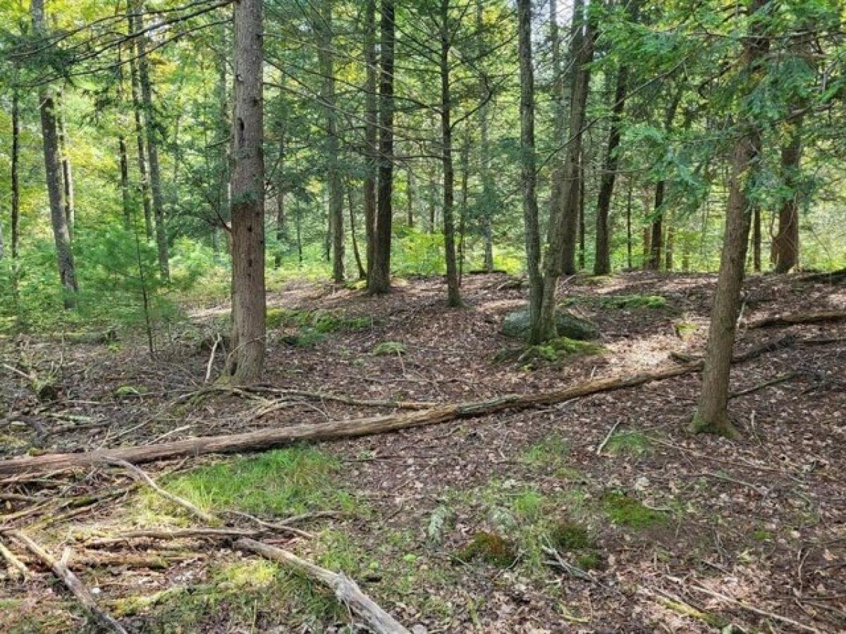 Picture of Residential Land For Sale in Woodstock, Connecticut, United States