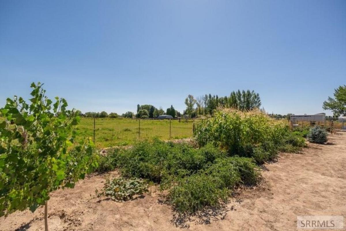 Picture of Home For Sale in Blackfoot, Idaho, United States