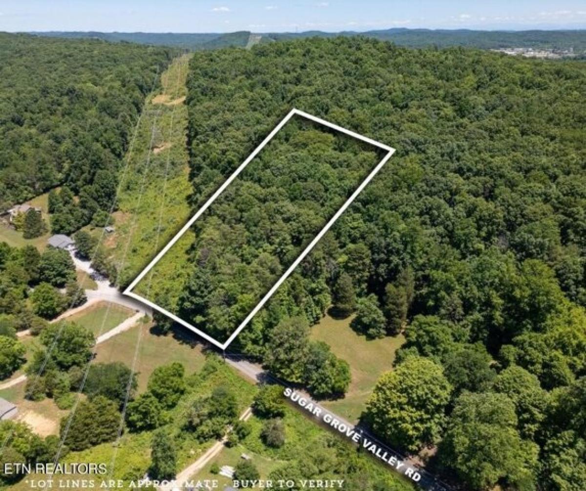 Picture of Residential Land For Sale in Harriman, Tennessee, United States