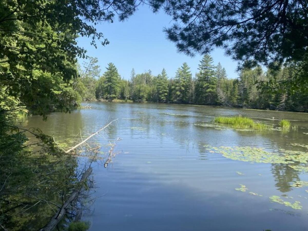 Picture of Residential Land For Sale in Hillman, Michigan, United States