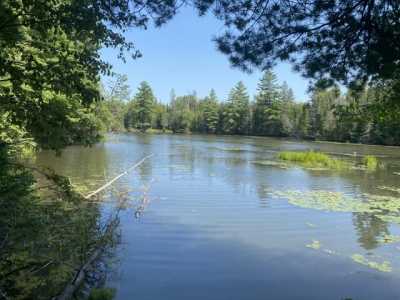 Residential Land For Sale in Hillman, Michigan