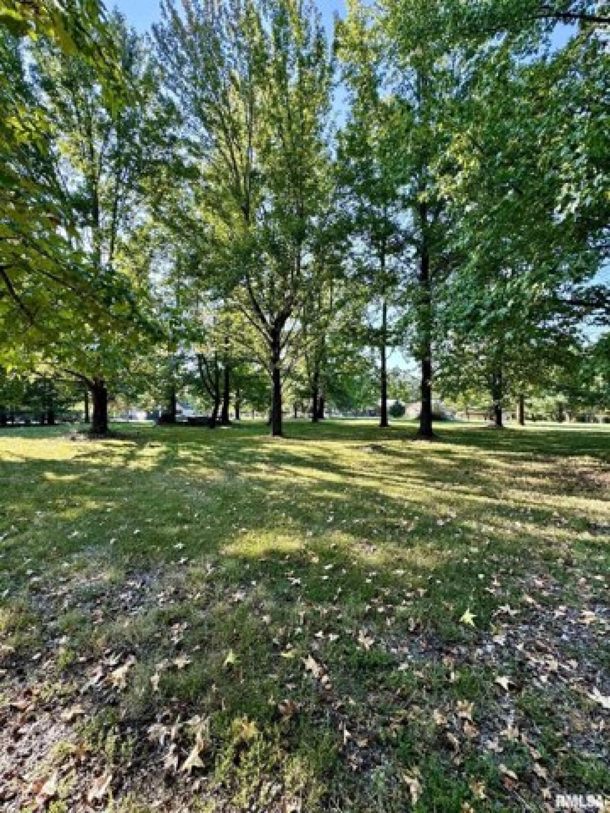 Picture of Residential Land For Sale in Carterville, Illinois, United States