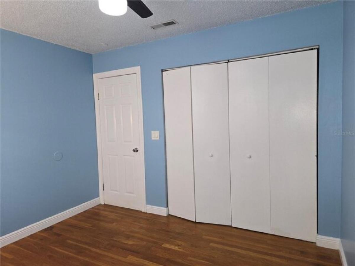 Picture of Apartment For Rent in Tampa, Florida, United States