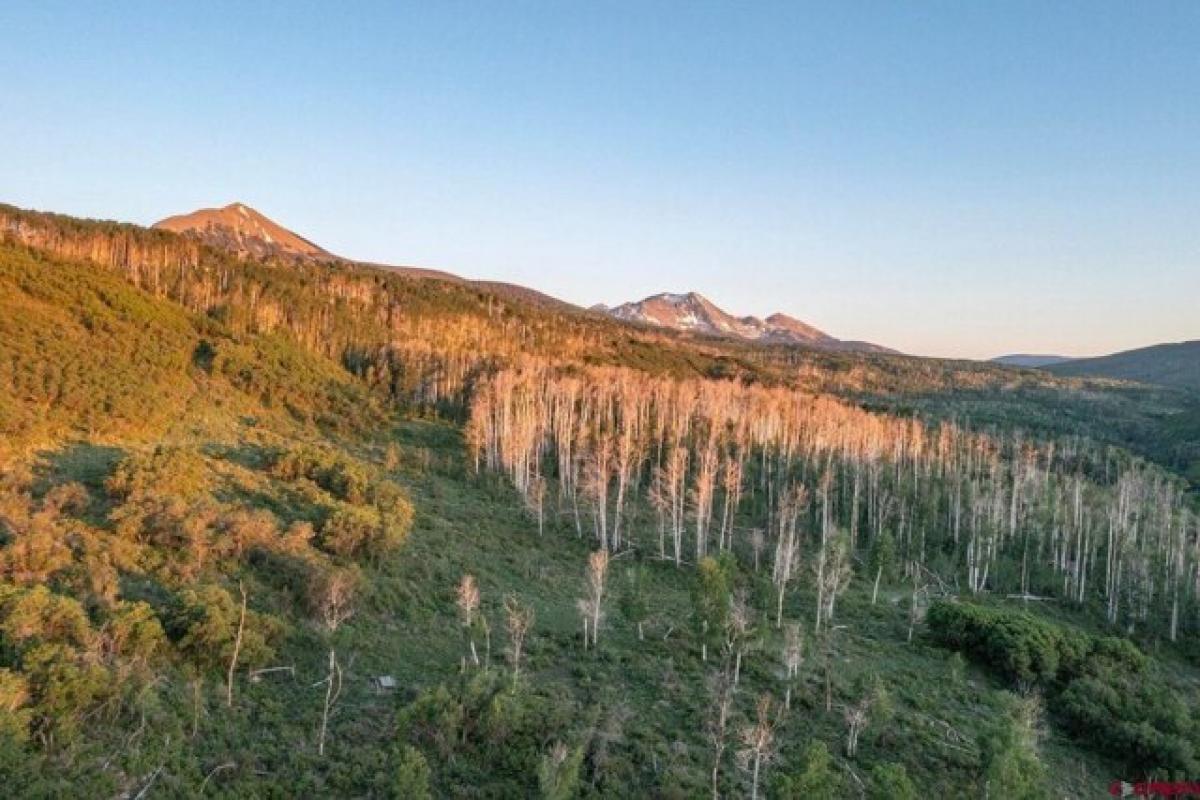 Picture of Residential Land For Sale in Placerville, Colorado, United States