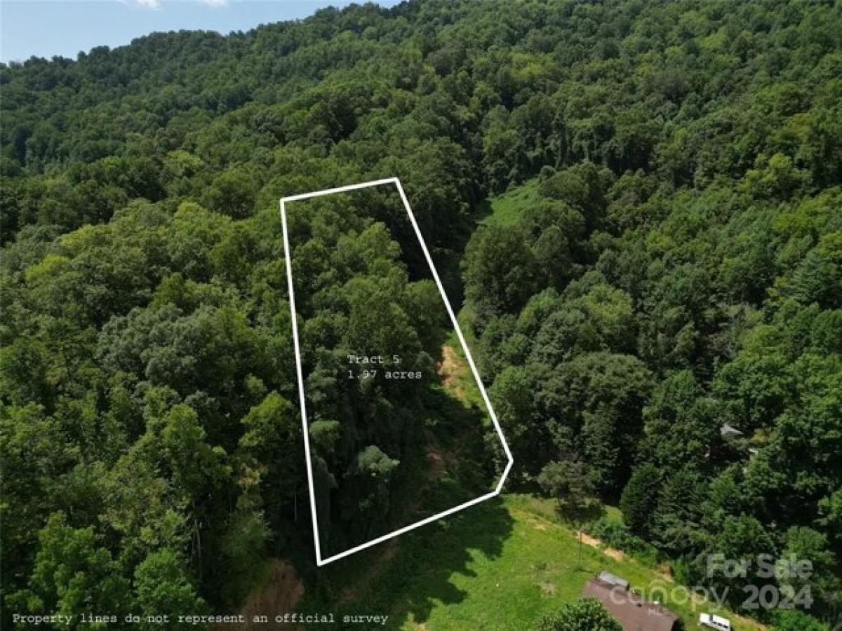 Picture of Residential Land For Sale in Sylva, North Carolina, United States