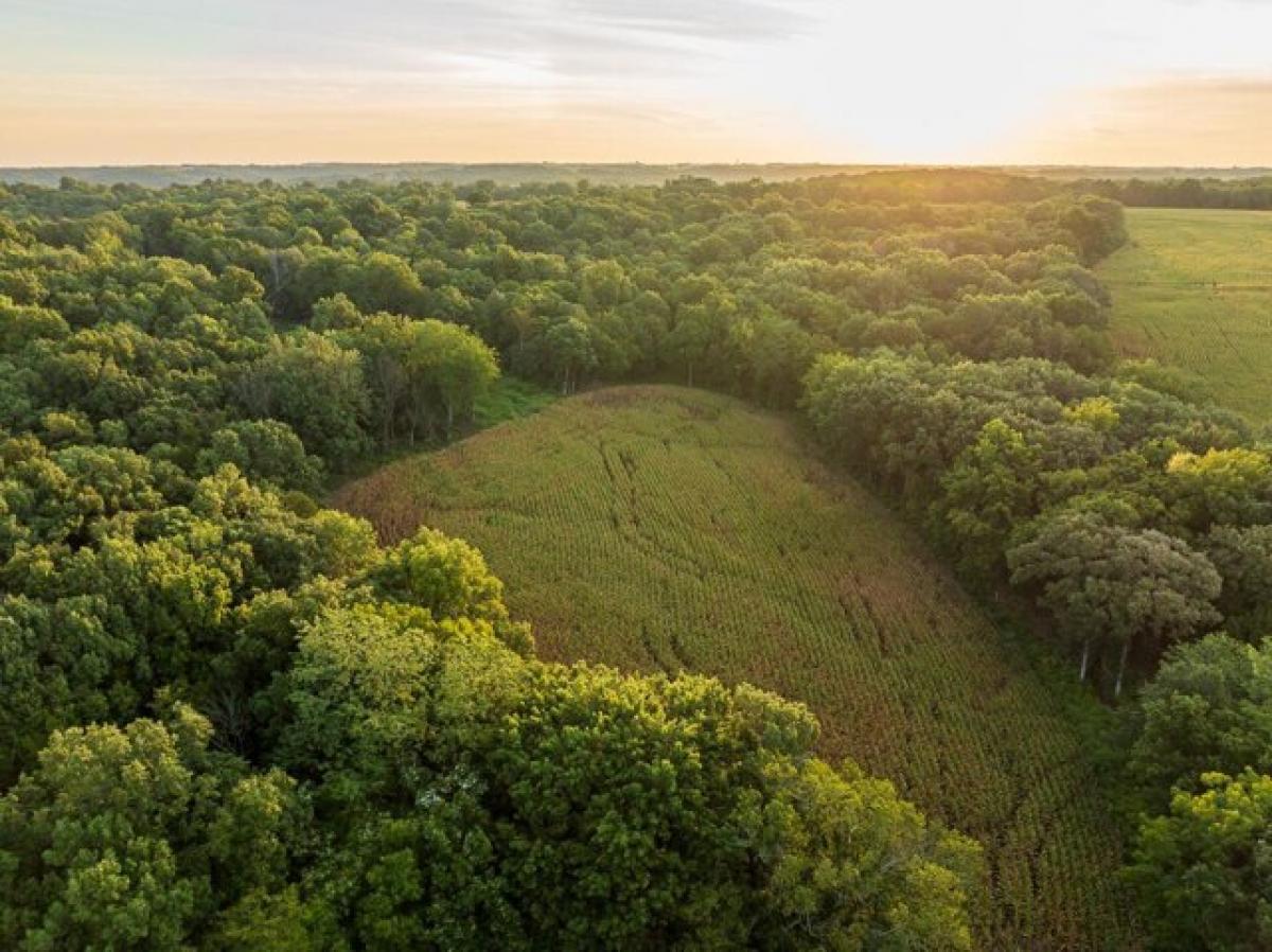 Picture of Residential Land For Sale in Otterville, Missouri, United States