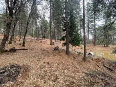 Residential Land For Sale in Grass Valley, California