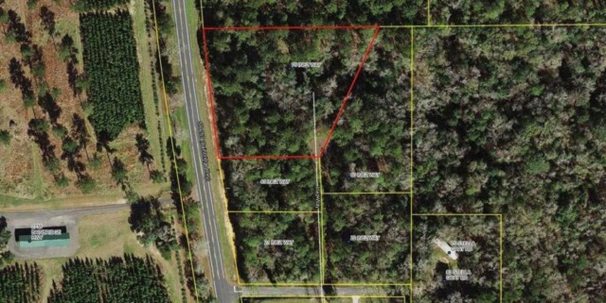 Picture of Residential Land For Sale in Quincy, Florida, United States