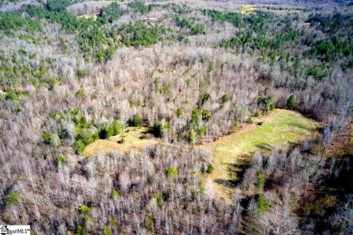 Picture of Residential Land For Sale in Laurens, South Carolina, United States