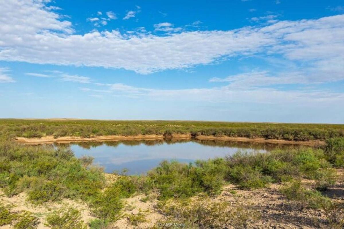 Picture of Residential Land For Sale in Sierra Blanca, Texas, United States