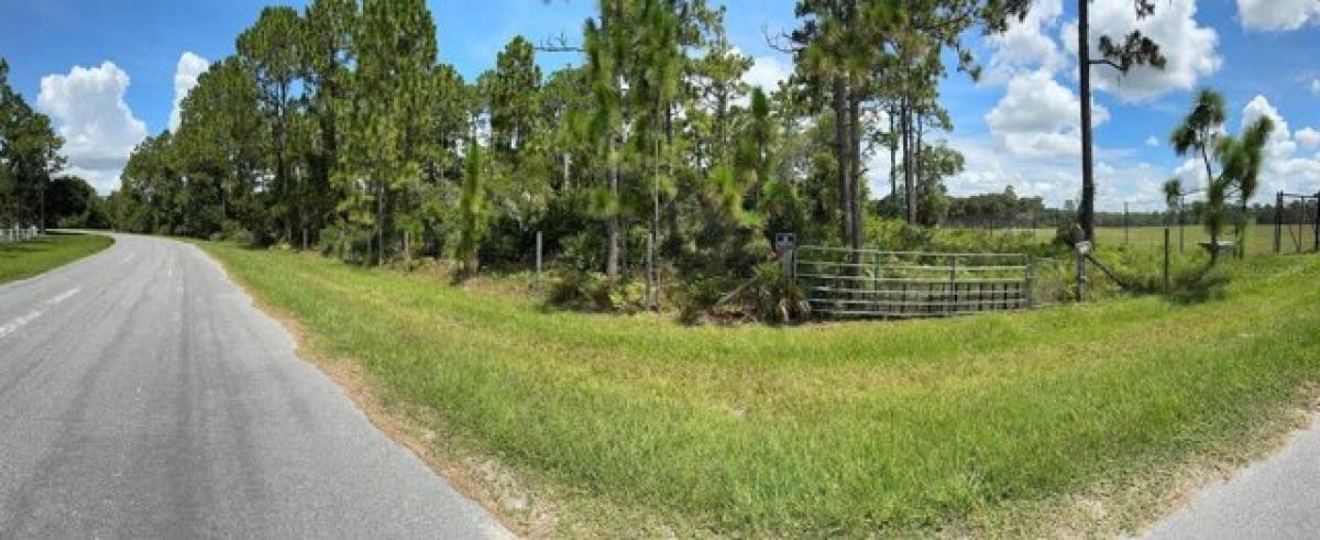 Picture of Residential Land For Sale in Orlando, Florida, United States