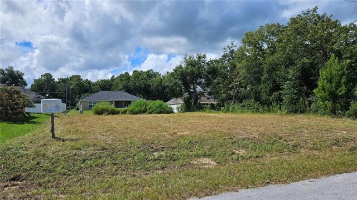 Picture of Residential Land For Sale in Summerfield, Florida, United States