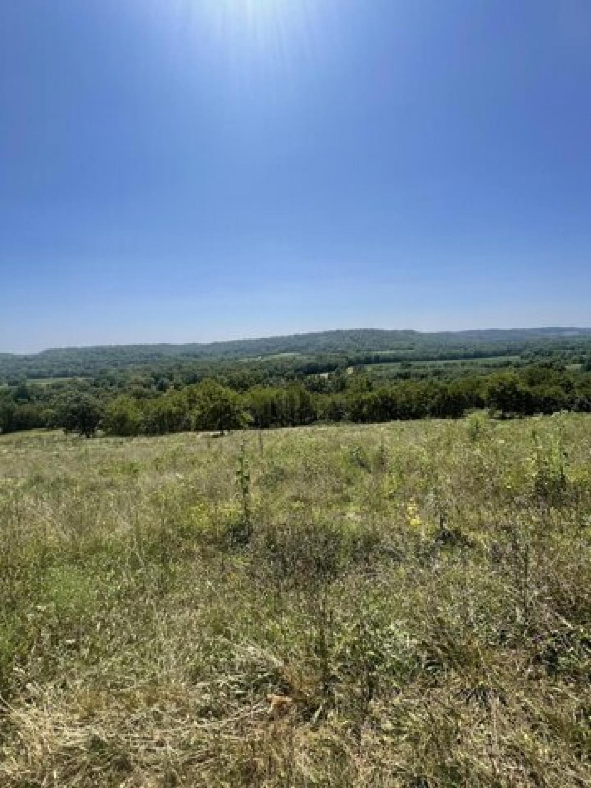 Picture of Residential Land For Sale in Sanders, Kentucky, United States