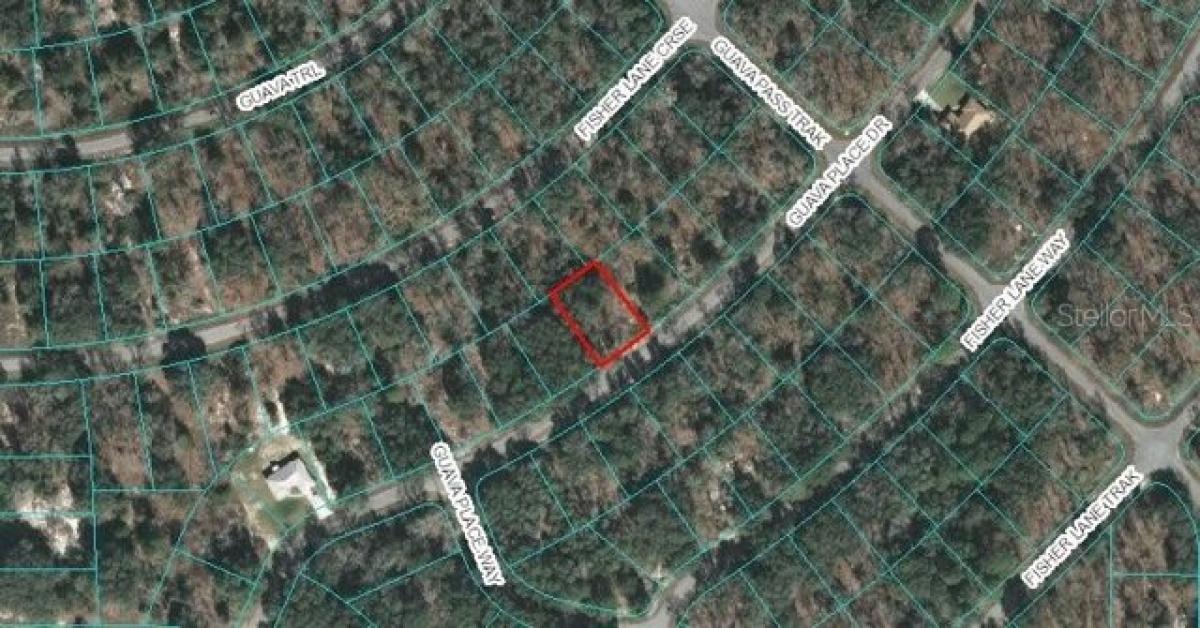 Picture of Residential Land For Sale in Ocklawaha, Florida, United States