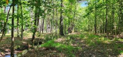 Residential Land For Sale in Walterboro, South Carolina