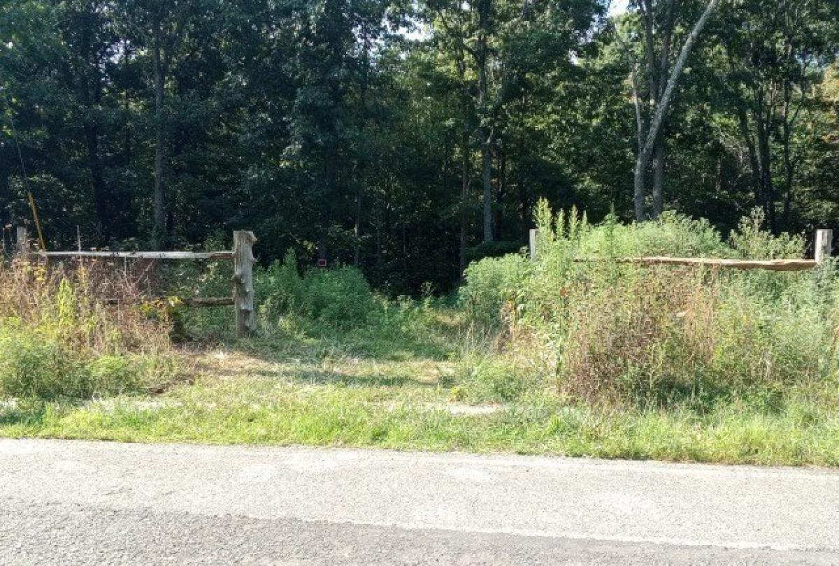 Picture of Residential Land For Sale in Cumberland Furnace, Tennessee, United States