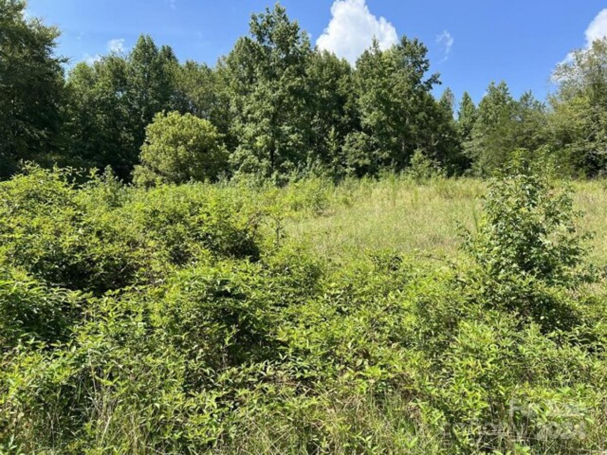 Picture of Residential Land For Sale in Albemarle, North Carolina, United States