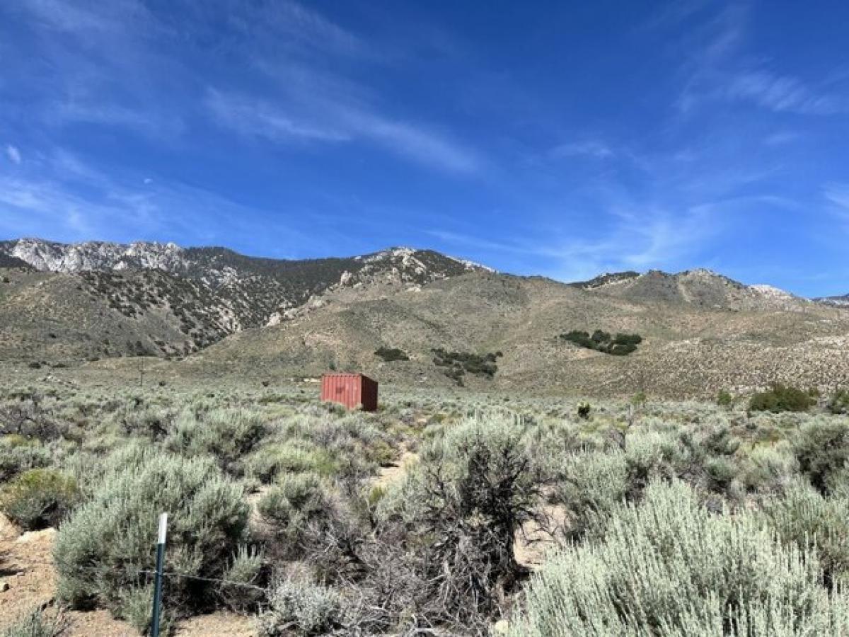 Picture of Residential Land For Sale in Olancha, California, United States