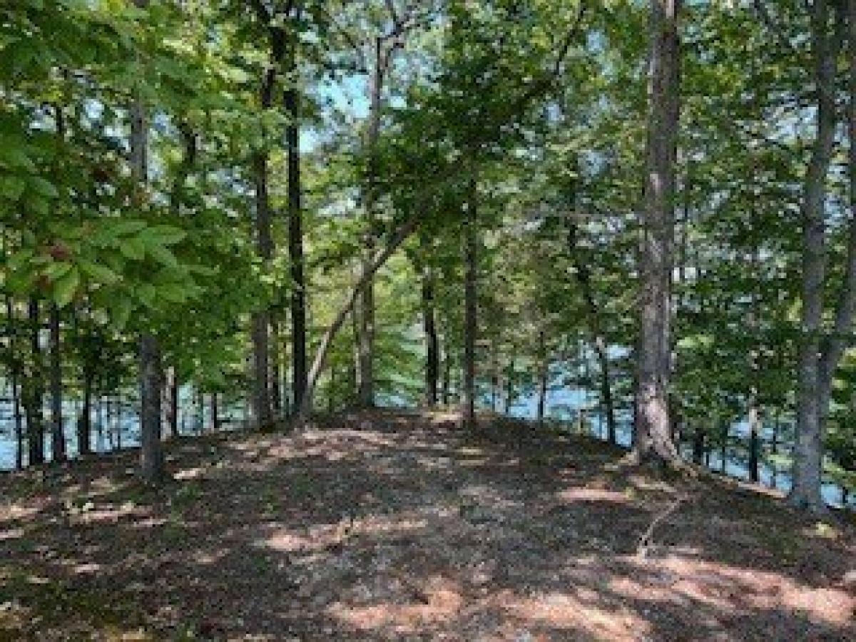 Picture of Residential Land For Sale in Winchester, Tennessee, United States