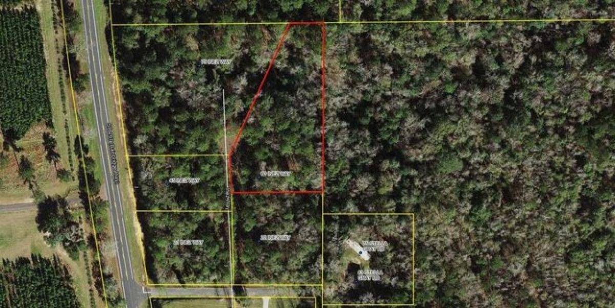 Picture of Residential Land For Sale in Quincy, Florida, United States