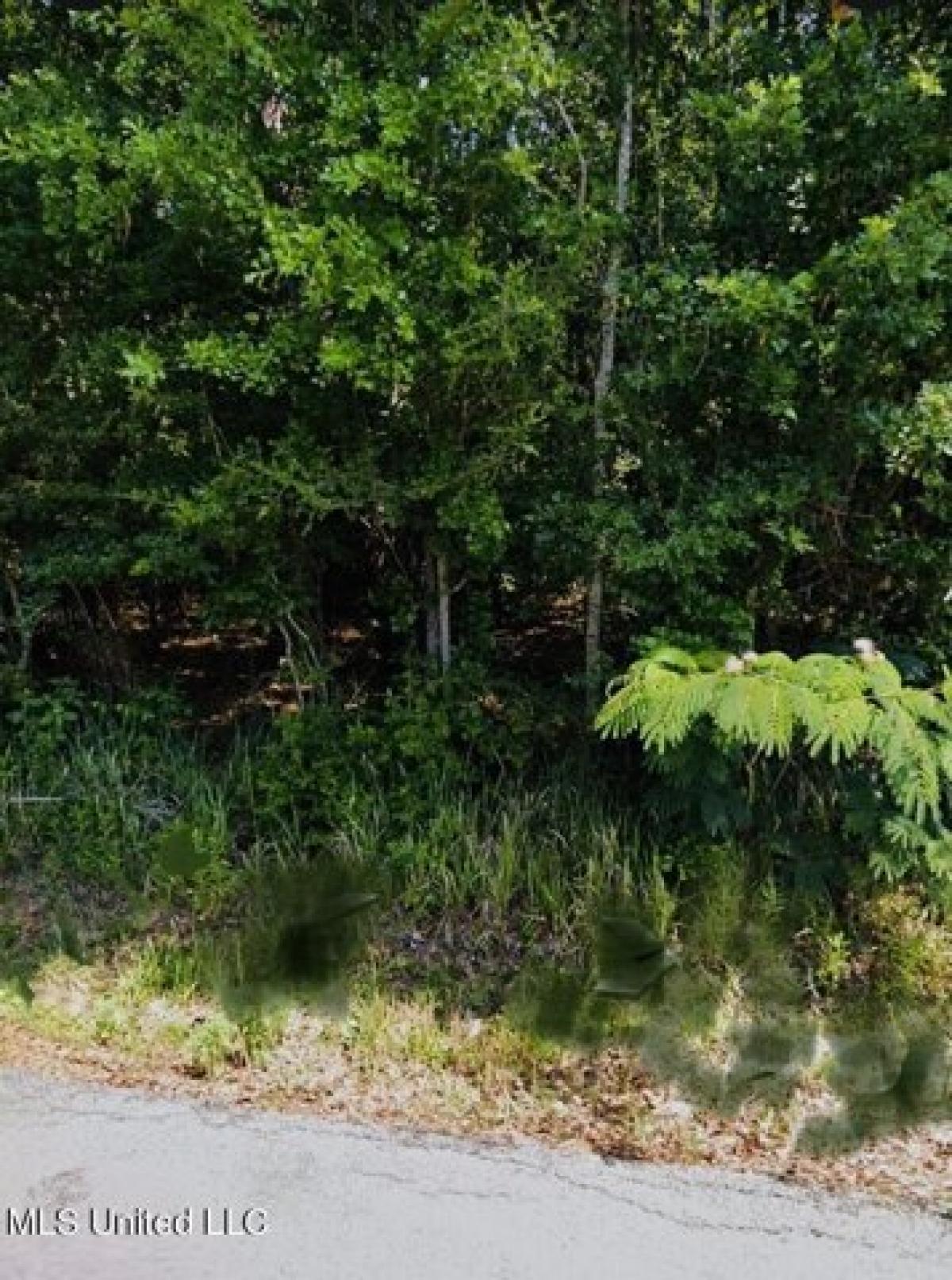 Picture of Residential Land For Sale in Gautier, Mississippi, United States