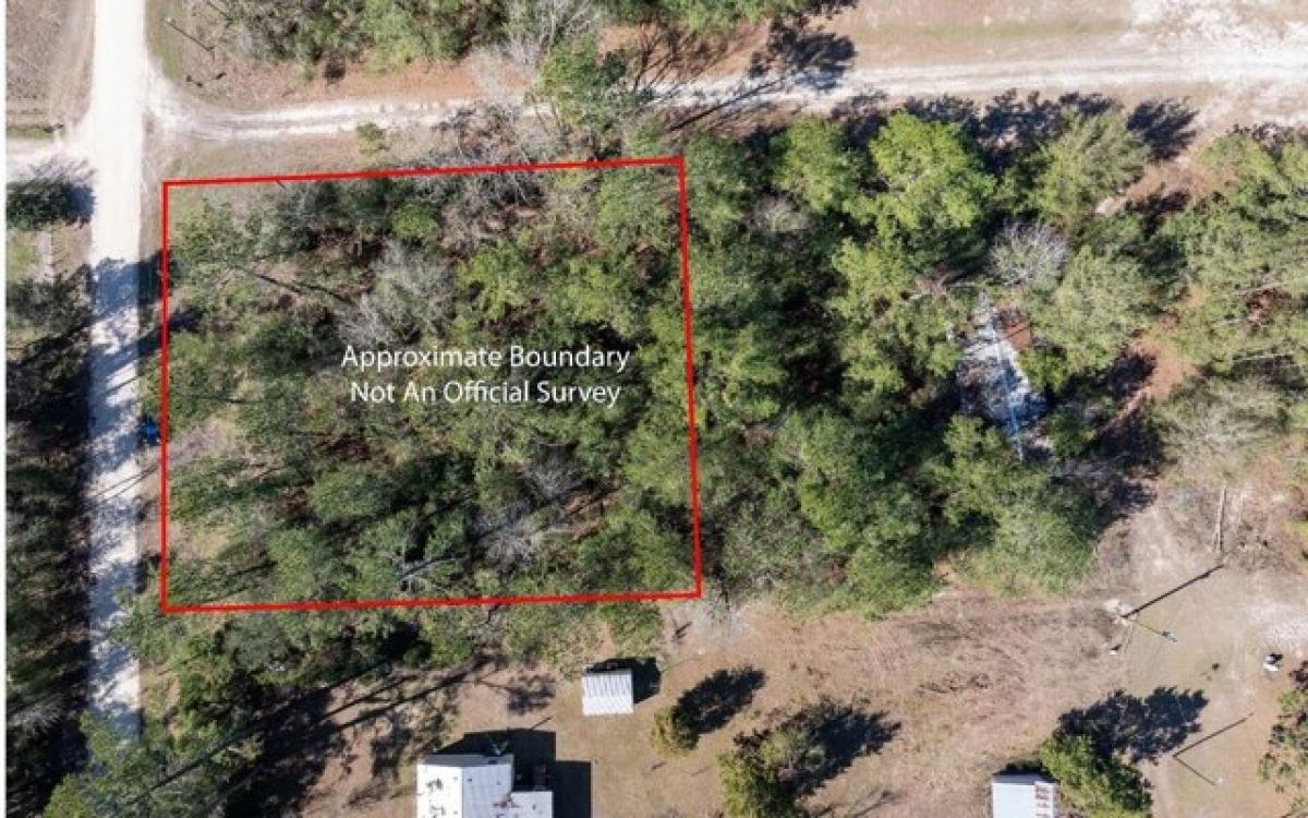 Picture of Residential Land For Sale in Live Oak, Florida, United States