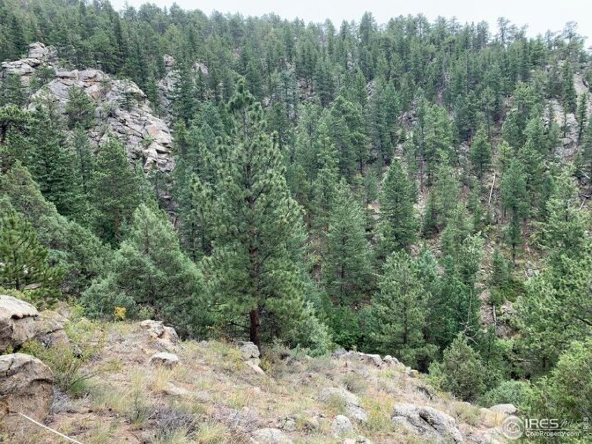 Picture of Residential Land For Sale in Estes Park, Colorado, United States