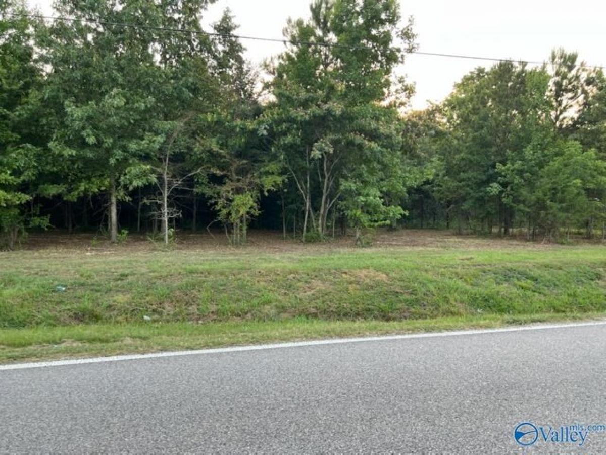 Picture of Residential Land For Sale in Trinity, Alabama, United States