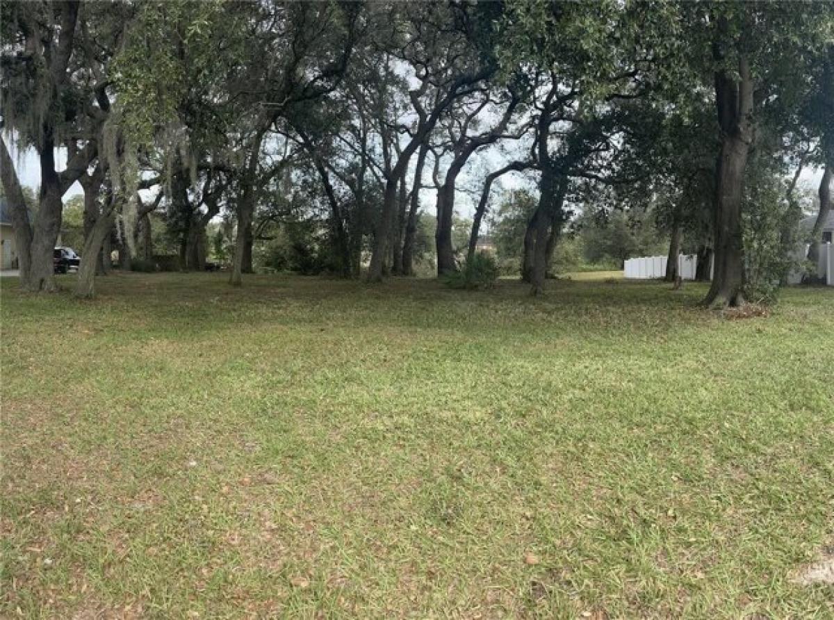 Picture of Residential Land For Sale in Lakeland, Florida, United States