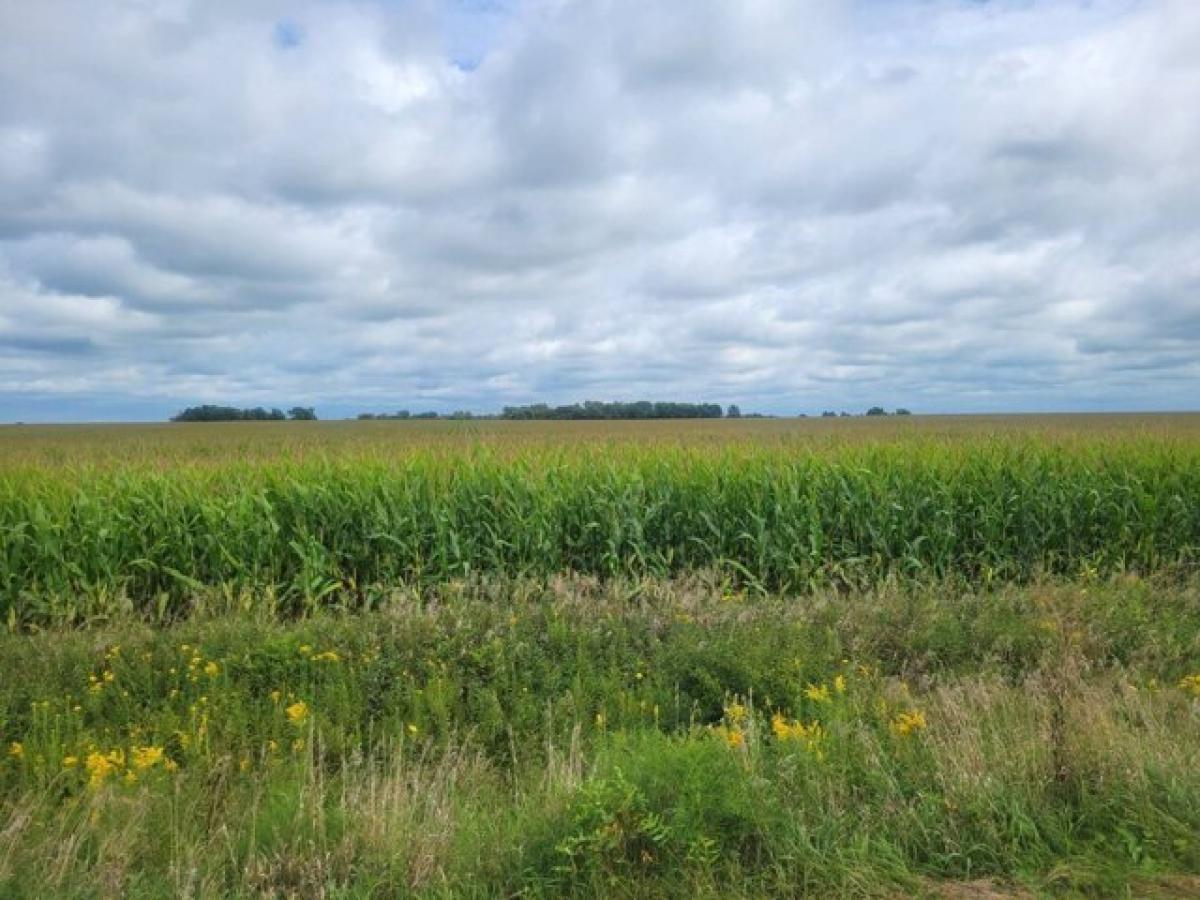 Picture of Residential Land For Sale in Stewartville, Minnesota, United States