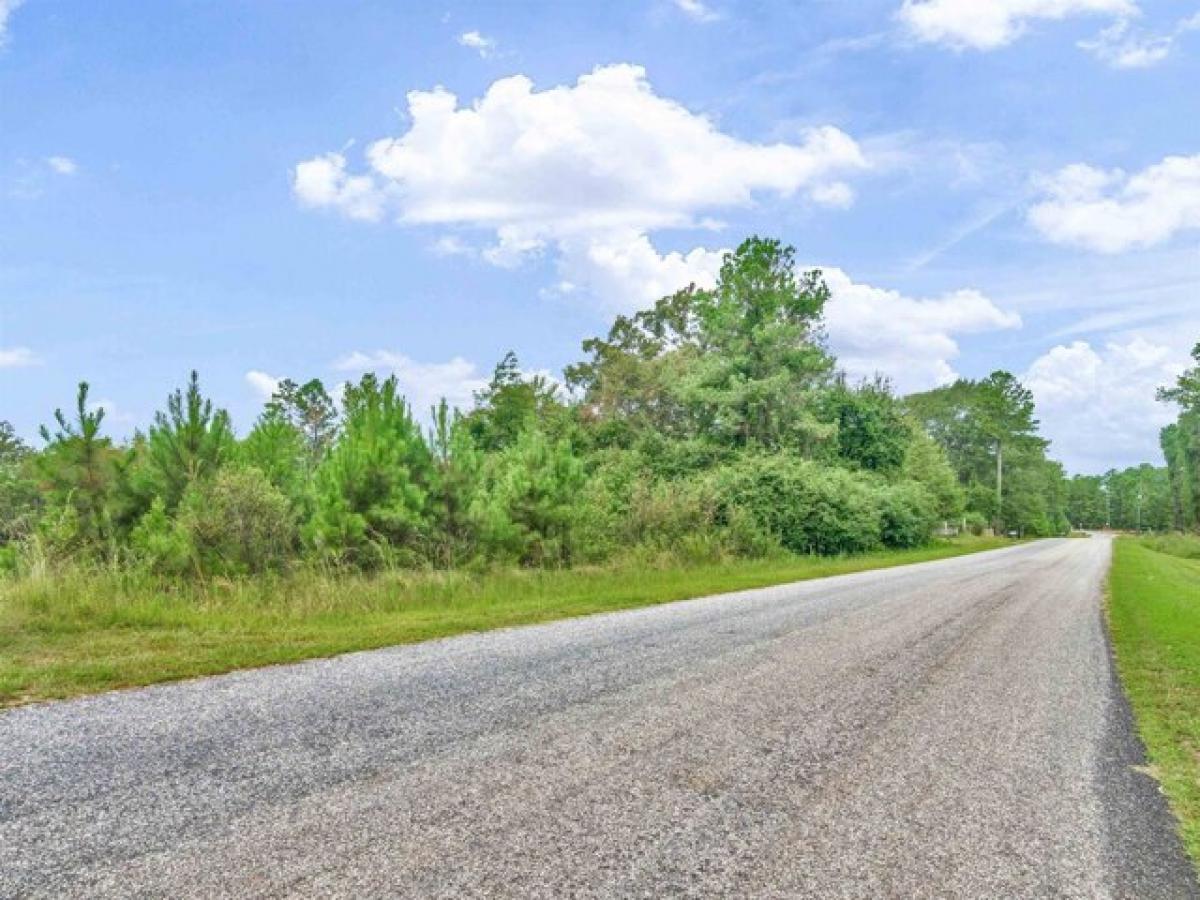 Picture of Residential Land For Sale in Flovilla, Georgia, United States