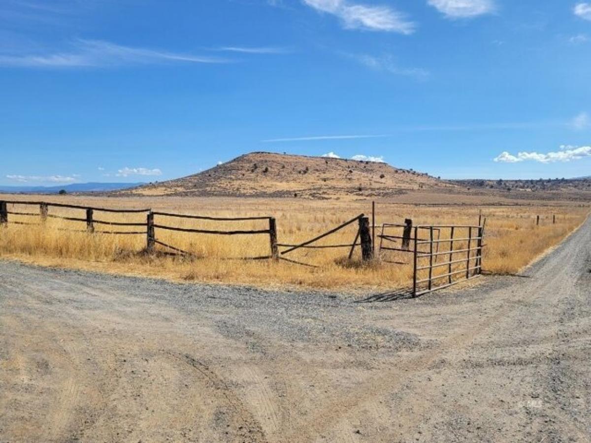 Picture of Residential Land For Sale in Alturas, California, United States