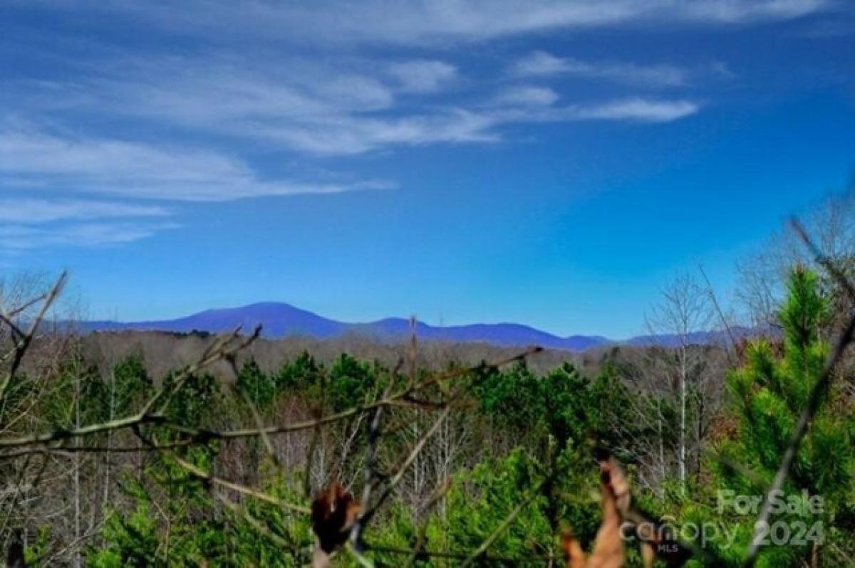 Picture of Residential Land For Sale in Union Mills, North Carolina, United States